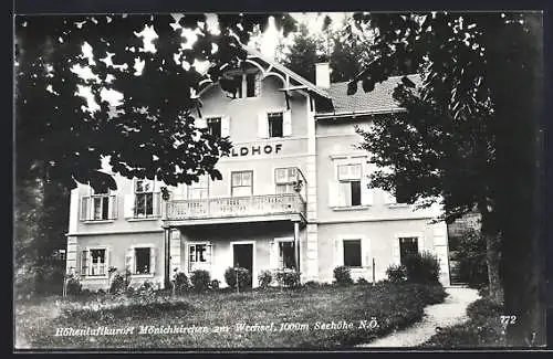 AK Mönichkirchen am Wechsel, Am Hotel Waldhof