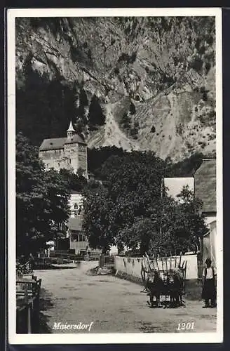 AK Maiersdorf, Teilansicht mit Ochsengespann gegen die steile Bergwand