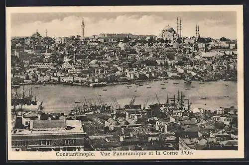 AK Constantinople, Vue Panoramique et la Corne d`Or