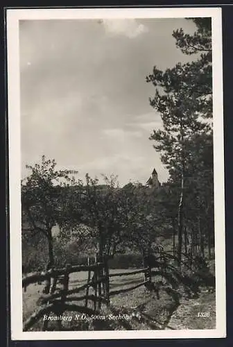 AK Bromberg /N. Ö., Blick von einer Anhöhe zur Kirche