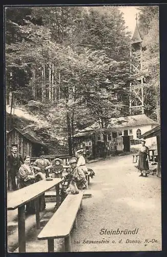 AK Säusenstein a. d. Donau, Gasthaus Steinbründl mit Turm