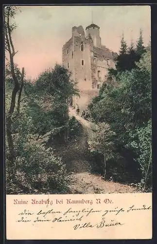 AK Kaumberg, an der Ruine Araburg