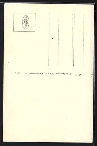 AK Schottwien-Maria-Schutz, Ortsansicht mit Blick ins Tal