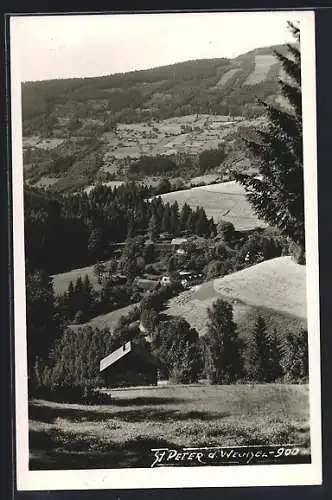 AK St. Peter a. Wechsel., Ortsansicht mit Umgebung