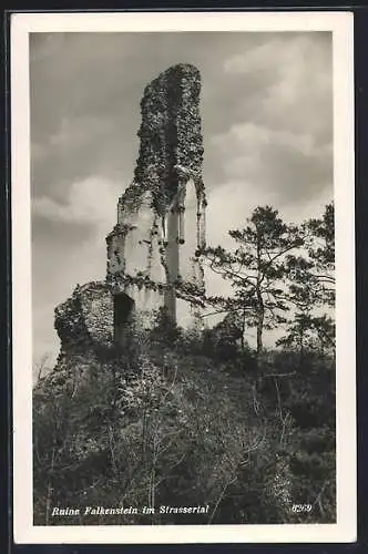 AK Falkenstein im Strassertal, Ansicht der Ruine