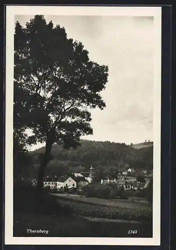 AK Thernberg, Blick über Felder auf den Ort