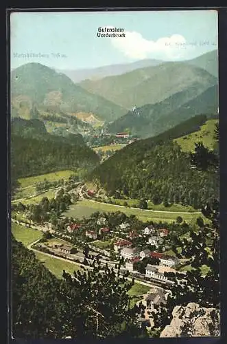 AK Vorderbruck-Gutenstein, Ortsansicht aus der Vogelschau