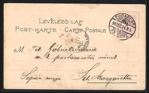 Lithographie Budapest, Blick auf die Donau mit Kettenbrücke und Corso