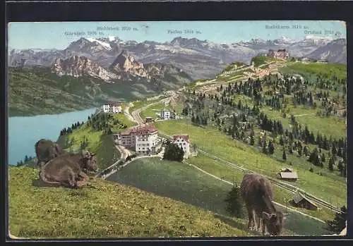 AK Rigi-Staffel, Ortsansicht mit Rigi-Kulm und Alpenpanorama