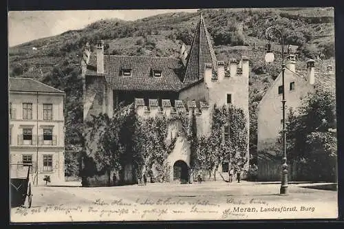 AK Meran, Landesfürstliche Burg