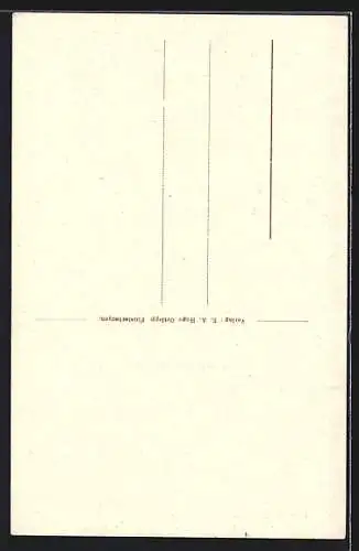 AK Finsterbergen, Villa Waldschlösschen, Teilansicht vom Ort