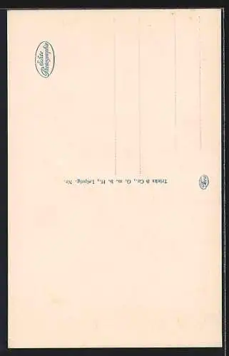 AK Lindau / Bodensee, Maximilianstrasse