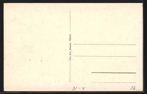 AK Hollandsche Rading, Gasthaus-Pension De Kersenboom D. van Beek mit Garten, Gästen u. Kellner