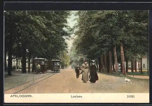 AK Apeldoorn, Loolaan