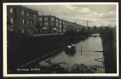 AK Den Haag, De Mient