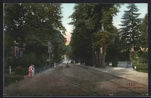 AK Velp, Arnhemsche Straatweg