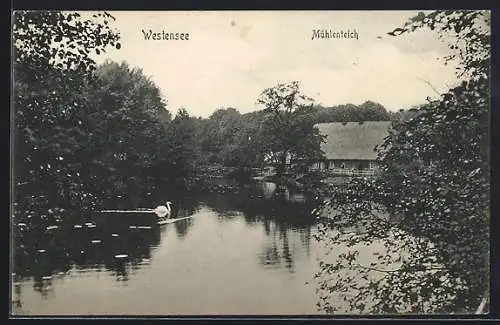 AK Westensee, Uferpartie am Mühlenteich