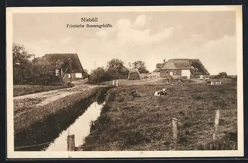 AK Niebüll, Friesische Bauerngehöfte