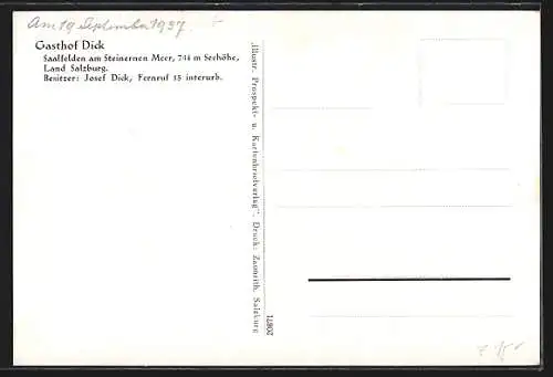 Künstler-AK Saalfelden am Steinernen Meer, Gasthof Dick, Bes. Josef Dick, Ansicht mit den Bergen