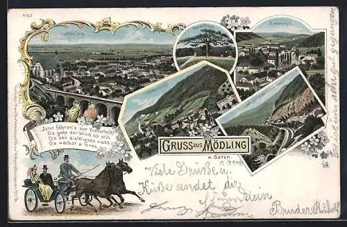 Lithographie Mödling /N. Öster., Vorderbrühl, Breite Föhre und Elektrische Bahn