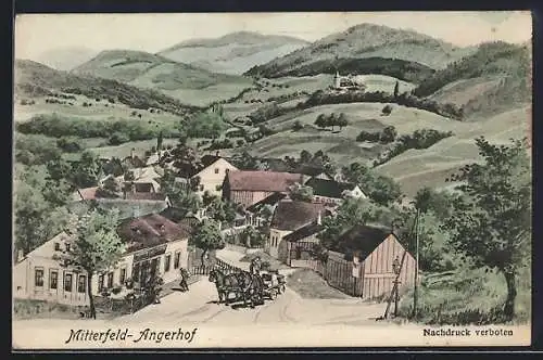 AK Kasten bei Böheimkirchen, Mitterfeld-Angerhof, Ortsansicht mit Blick ins Land