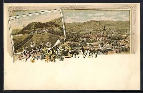 Lithographie Wien, Ober St. Veit, Einsiedelei, Totalansicht aus der Vogelschau