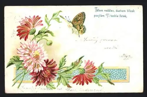 AK hübscher Schmetterling an schönen Blumen