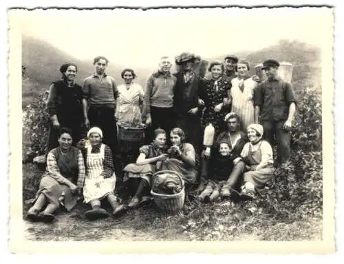 Fotografie Georg Ernst, Maikammer, Erntehelfer bei der Weinlese in den Reben