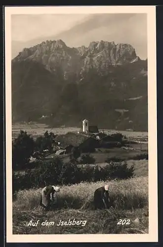 AK Dölsach /Iselsberg, Bauern bei der Ernte, Blick auf das Dorf