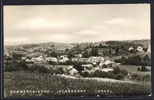 AK Olbendorf /Bgld., Ortsansicht aus der Vogelschau