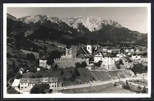 AK Puchberg a. Sch., Ortspartie mit Burgruine