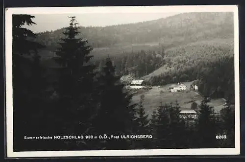 AK Schwarzenberg am Böhmerwald, Sommerfrische Holzschlag