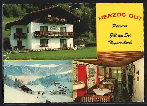 AK Zell am See, Pension Herzog Gut, Bes. E. u. H. Mayer