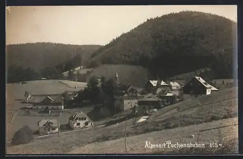 AK Puchenstuben, Ansicht vom Hang aus