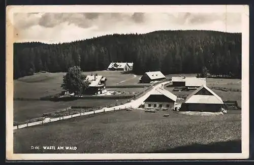 AK Wastl am Wald, Ortsansicht von der Wiese aus