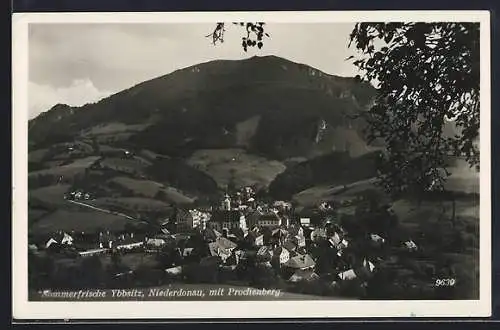 AK Ybbsitz /Niederdonau, Ansicht mit Prochenberg