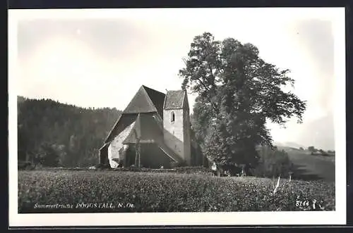 AK Pöggstall, Kirche gegen den Wald