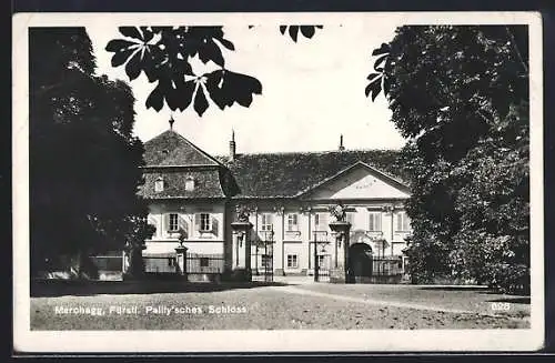 AK Marchegg, Fürstl. Pallfy`sches Schloss