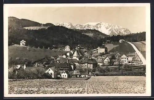 AK Grünbach am Schneeberg, Gesamtansicht