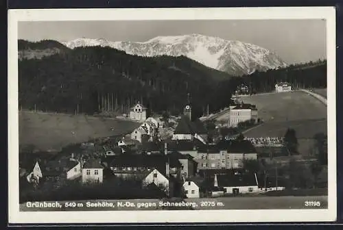 AK Grünbach, Ansicht gegen den Schneeberg