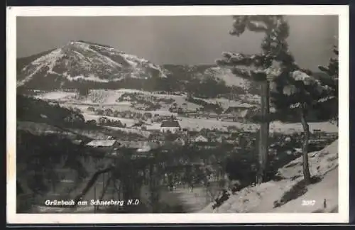 AK Grünbach am Schneeberg, Ortsansicht im Winter