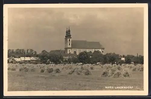 AK Maria Lanzendorf, Ortsansicht und Wiese mit gehäuftem Heu