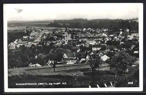 AK Zwettl am Kamp, Panoramablick auf den Ort