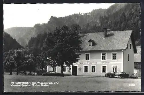 AK Erlaufboden /Wienerbruck, Gasthof-Pension Florian Buder mit parkenden Autos