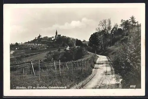 AK Straden /Oststeiermark, Ortsansicht vom Feldweg aus