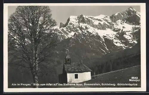 AK Alm im Pinzgau, Blick vom Jufen auf das Steinerne Meer, Sommerstein, Schönberg, Schönfeldspitze