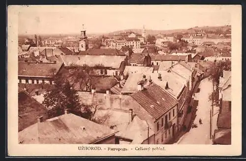 AK Uzhorod, Celkový pohled