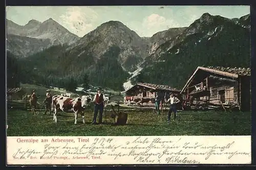 AK Pertisau am Achensee, Senner auf der Gernalpe