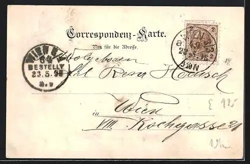 AK Wien, Volksfest im k. k. Belvedere