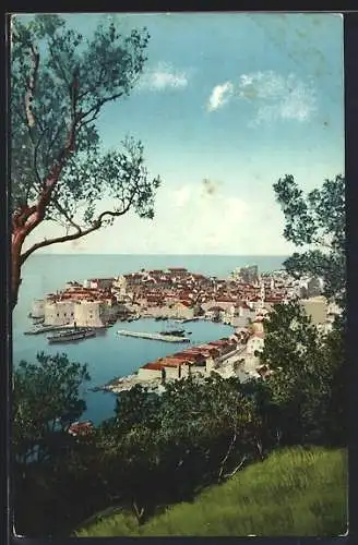 AK Dubrovnik, Panorama